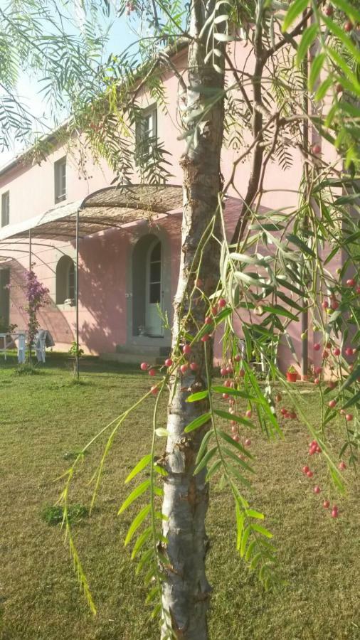 קסטיליאונצ'לו Agriturismo Podere Gianmaria מראה חיצוני תמונה